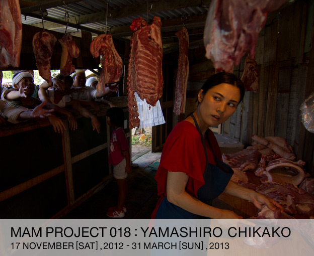 MAM PROJCT018: Yamashiro Chikako 17 November [SAT] - 31 March [SUN] ,2013
