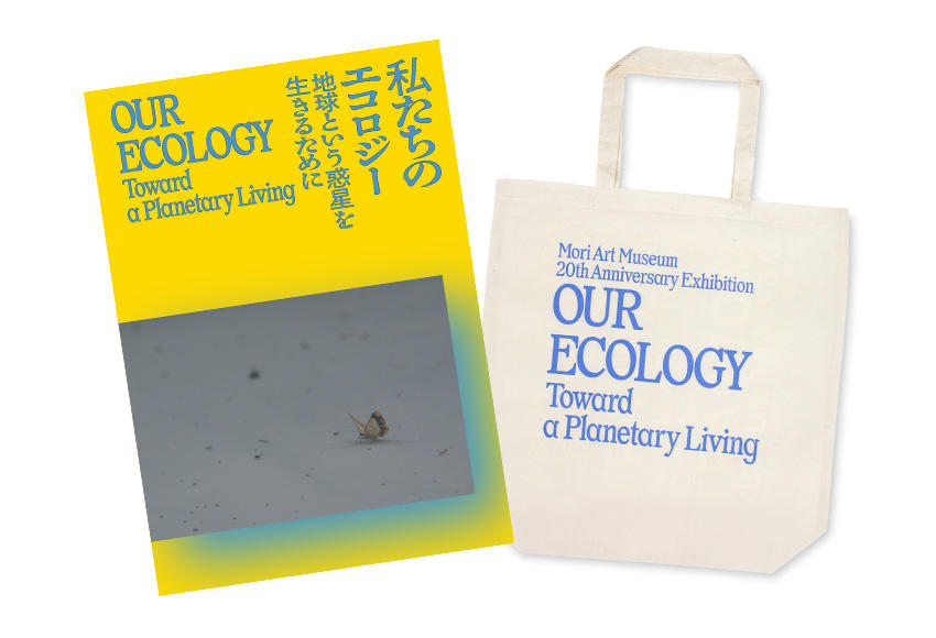 Catalogue with Tote Bag