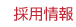 �̗p���