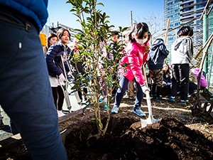 アーティストと一緒に小学校の校庭に木を植えたよ！《銃をシャベルに》植樹プログラムを開催