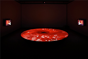 新作の映像インスタレーションが追加されパワーアップ！～静岡県立美術館を巡回中の「小谷元彦展：幽体の知覚」