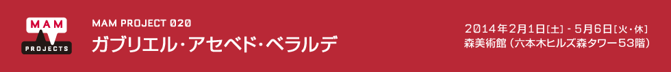 MAMプロジェクト 020：ガブリエル･アセベド・ベラルデ　2013年09月21日（土）－2014年1月13日（月・祝）　会場：森美術館ギャラリー1（六本木ヒルズ森タワー53階）