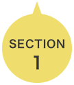 SECTION 1