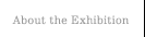 About the Exhibition
