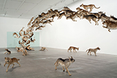 Cai Guo-Qiang<br><em>Head On</em><br>2006<br>Courtesy Cai Studio<br>Photo: Jon Linkins, courtesy: Queensland Art Gallery | Gallery of Modern Art<br>The Deutsche Bank Collection