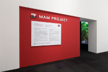 Installation view: "MAM Project 022: Jacob Kirkegaard,"<br /> Mori Art Museum, 2014<br />Photo: Morita Kenji