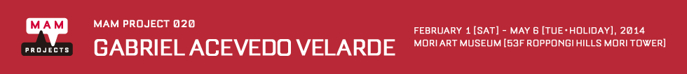 MAM Project 020: Gabriel Acevedo Velarde 1 Feburary (Sat) - 6 May (Mon . holiday), 2014 MORI ART MUSEUM [53F, ROPPONGI HILLS MORI TOWER]