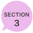 SECTION 3