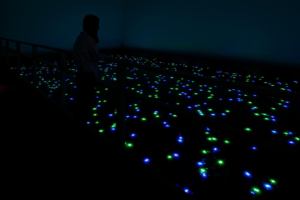 Tatsuo Miyajima Sea of Time – TOHOKU Project (2020, Tokyo)