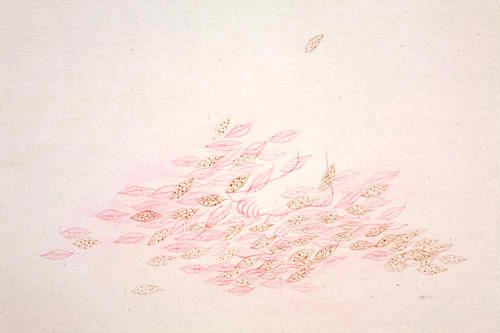 Prabhavathi Meppayil Untitled (detail)