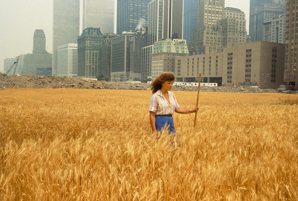 Agnes Denes Wheatfield - A Confrontation: Battery Park Landfill, Downtown Manhattan - With Agnes Denes Standing in the Field