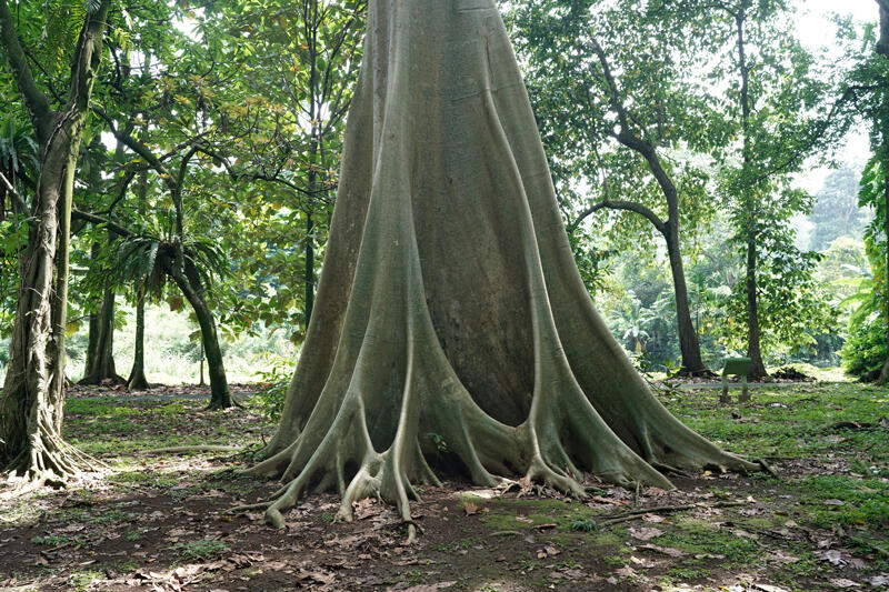 ikkibawiKrrr Untitled