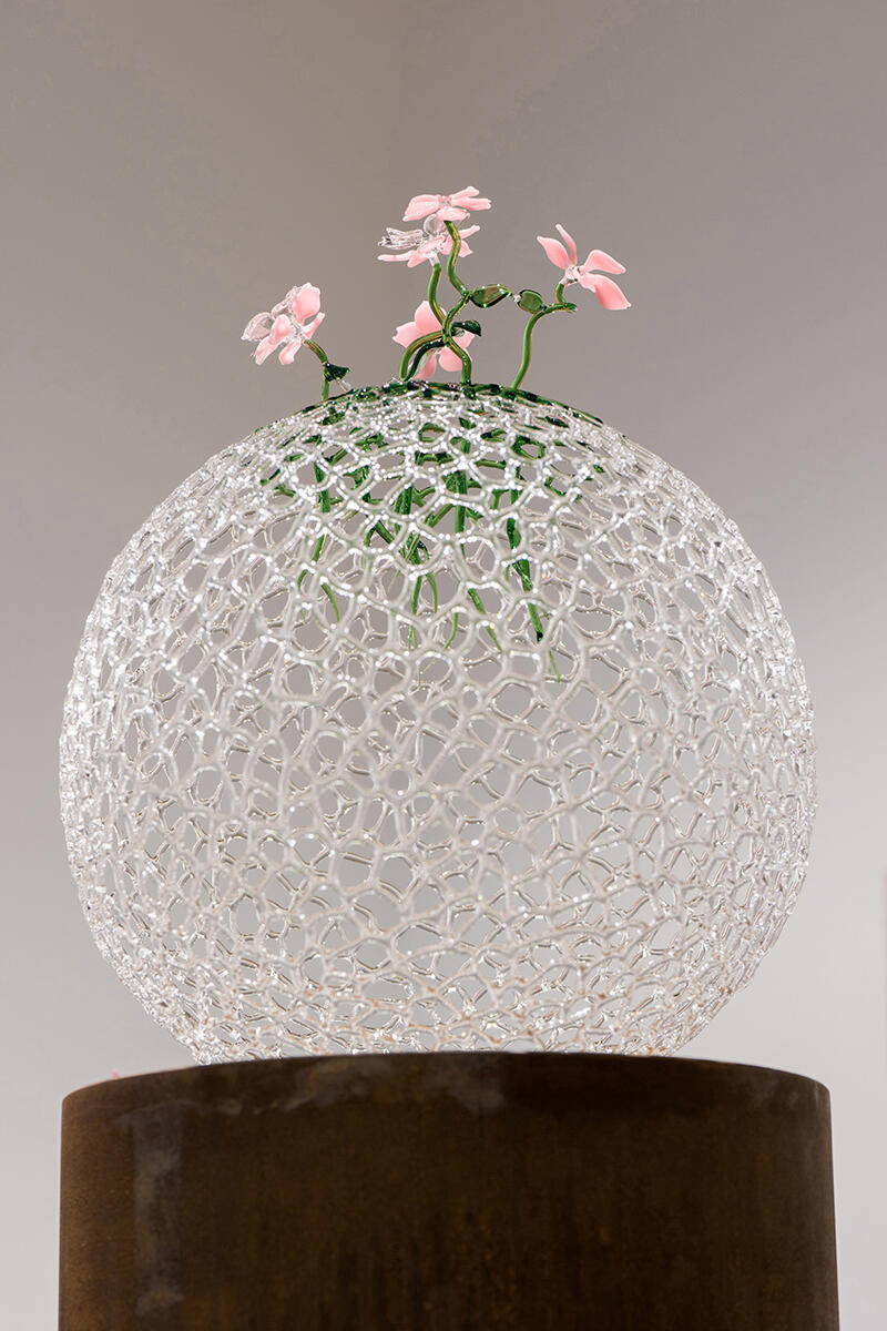 ケリー・アカシ