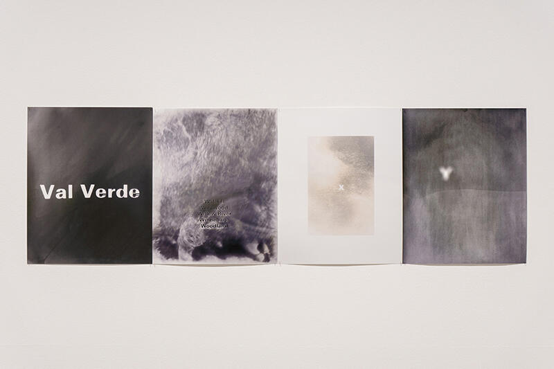 キャリー・ヤマオカ