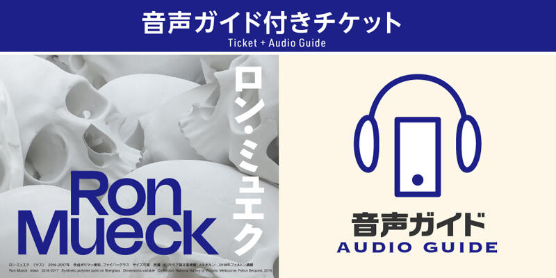 Combo Ticket with AI Audio Guide Available