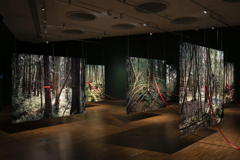 Hrair Sarkissian Sea of Trees