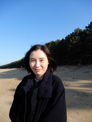小島日和
