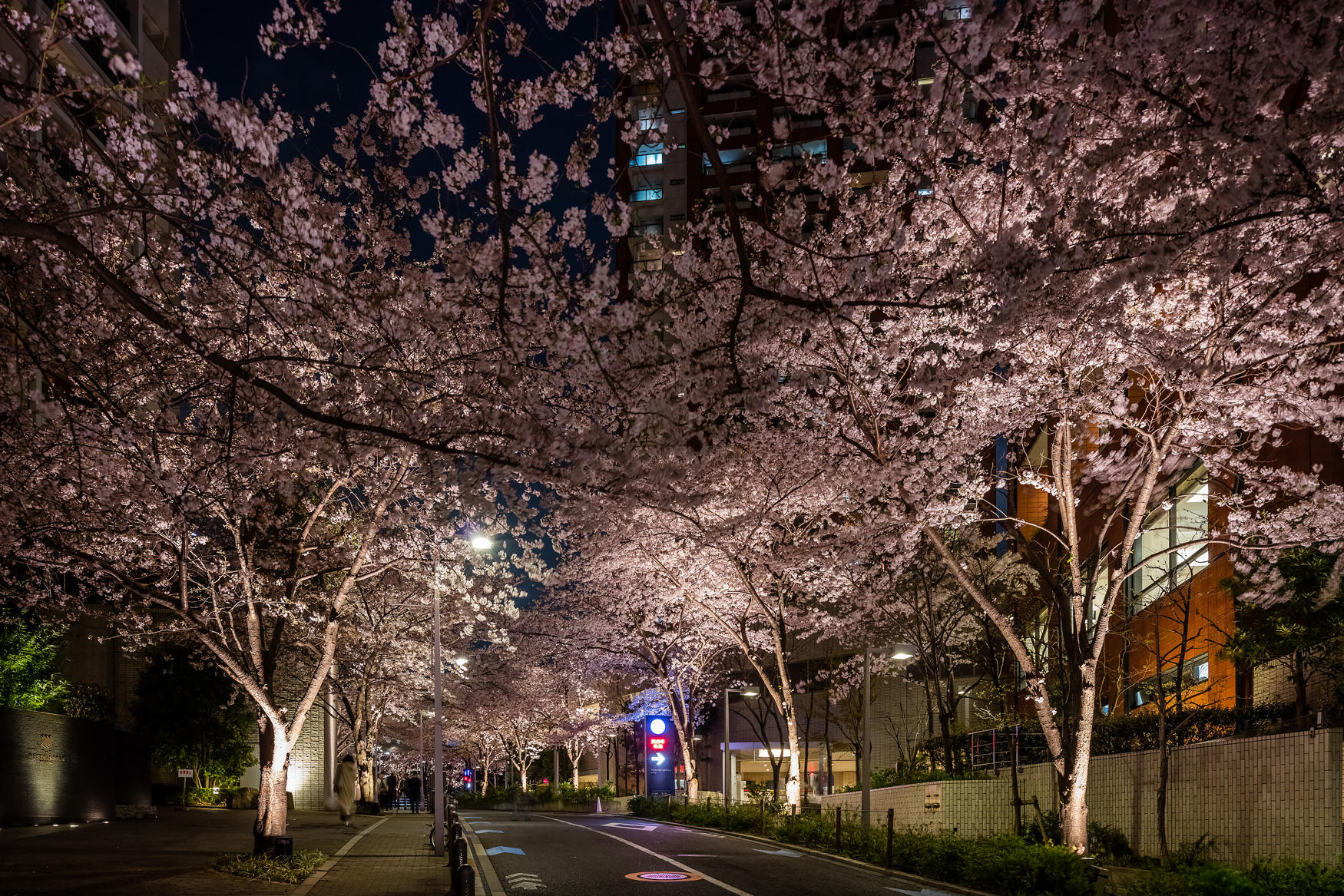 Roppongi Sakurazaka