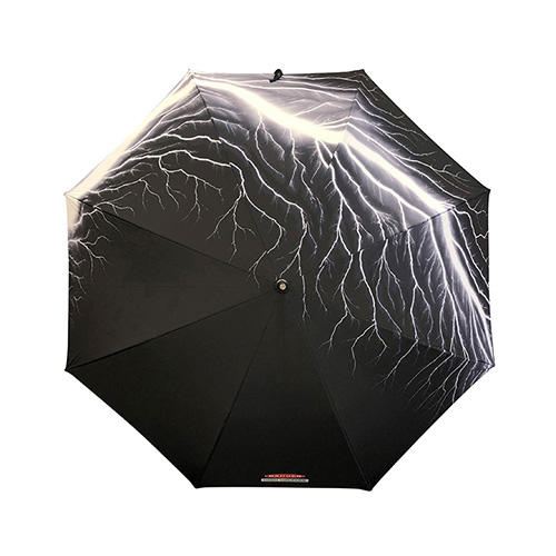 Hiroshi Sugimoto “DANGER - HIGH VOLTAGE” Umbrella
